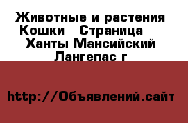 Животные и растения Кошки - Страница 2 . Ханты-Мансийский,Лангепас г.